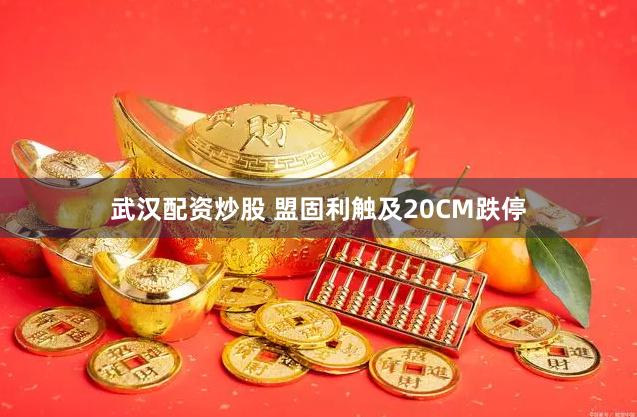 武汉配资炒股 盟固利触及20CM跌停