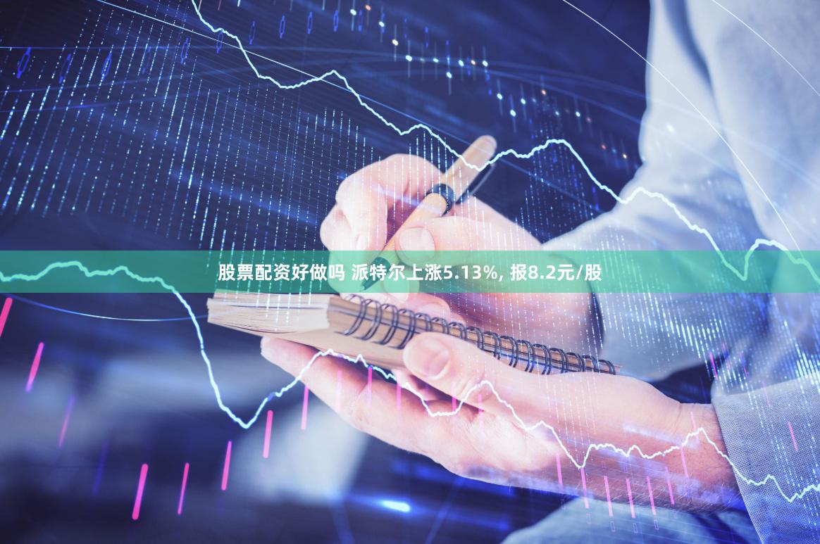 股票配资好做吗 派特尔上涨5.13%, 报8.2元/股