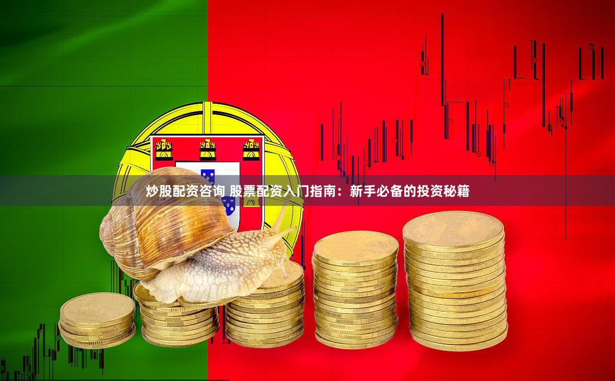 炒股配资咨询 股票配资入门指南：新手必备的投资秘籍